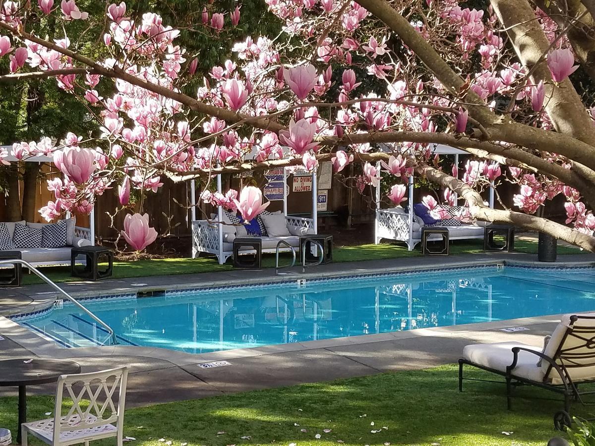 The White House Napa Valley Εξωτερικό φωτογραφία